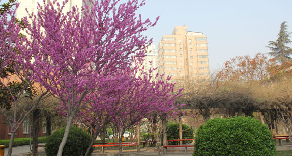 河南省幼兒師范學校