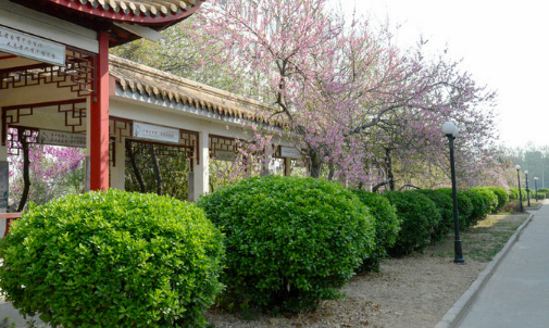 駐馬店市衛(wèi)生學校